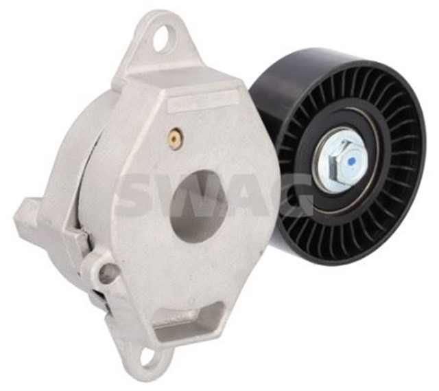 KAYIS GERGISI FEBI 184904