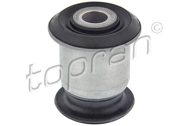 SALINCAK BURCU ON T4 - T5 - T6 91 - 03