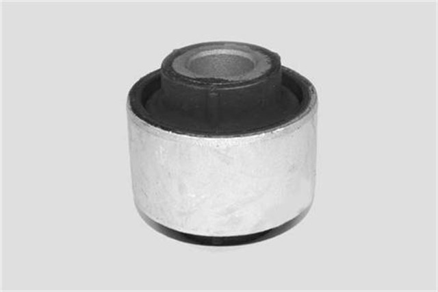 SALINCAK BURCU BUYUK MGN III - FLUENCE - SCENIC III - MGN CC 09