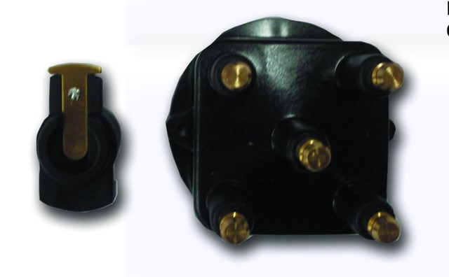 DISTRUBITOR KAPAGI TEVZI MAKARASI R19 - EXP