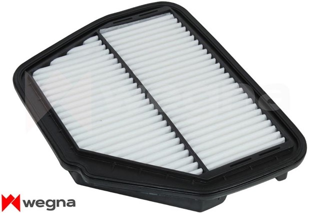 HAVA FILTRESI CAPTIVA - ANTARA 2.0CDTI - 2.4 06 C29008