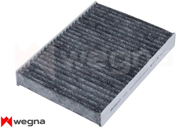 POLEN FILTRESI RENAULT CLIO II - - 07/04 - CLIO SYMBOL - MEGANE I. KANGOO KARBONLU CUK 2945