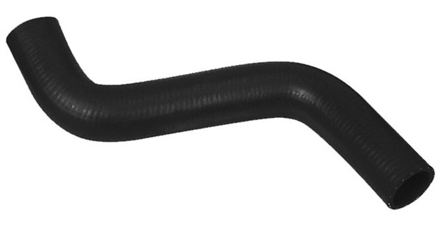 RADYATOR HORTUMU UST PALIO