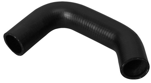 ISI MUHAFAZA HORTUMU PALIO