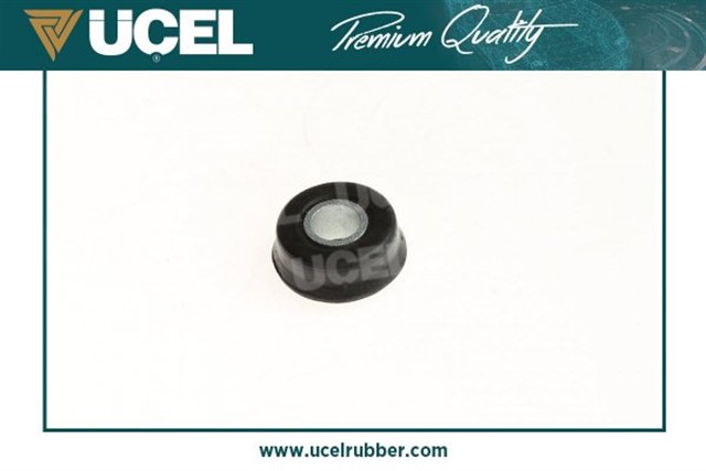 KASTEL LASTIGI BURCLU DACIA 1300