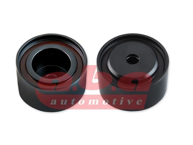 ALTERNATOR GERGI RULMANI F2000