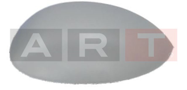 DIS DIKIZ AYNA KAPAGI ASTARLI SAG 206