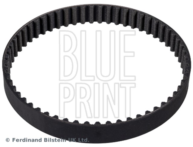 TRIGER KAYISI CARNIVAL