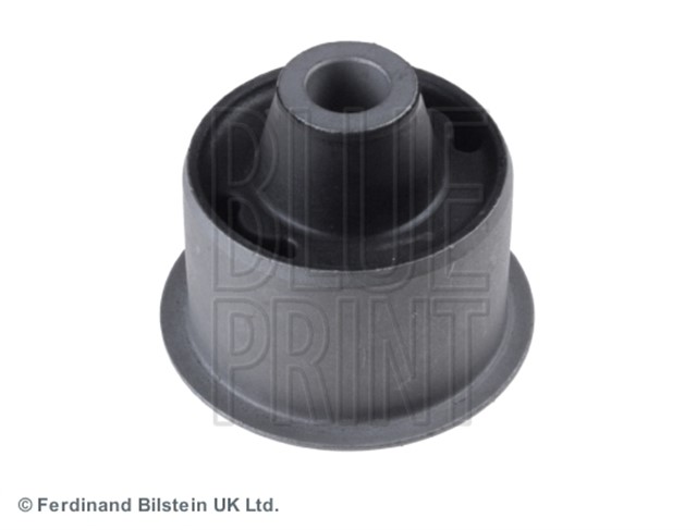 SALINCAK BURCU TRIBUTE