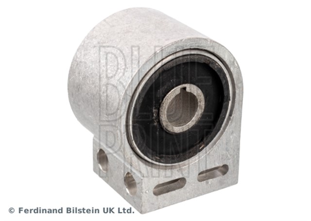 SALINCAK BURCU CAPTIVA 2006 - 11