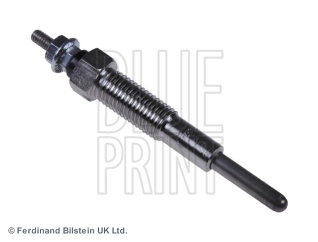 KIZDIRMA BUJISI ROCSTA