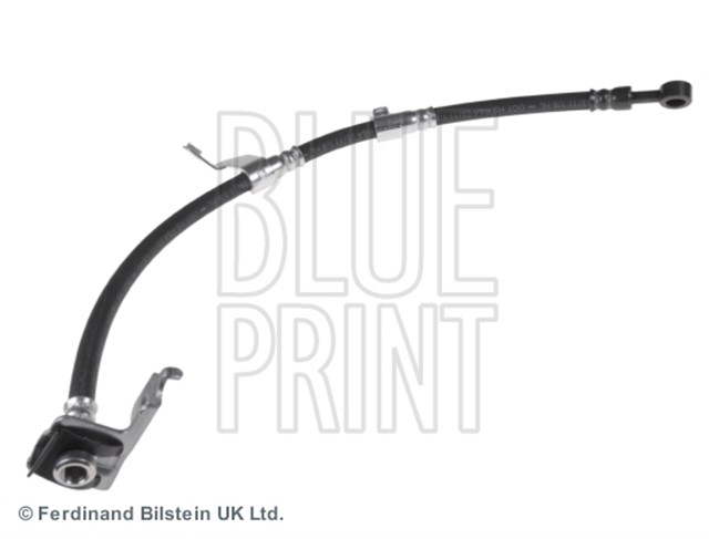 FREN HORTUMU CARNIVAL