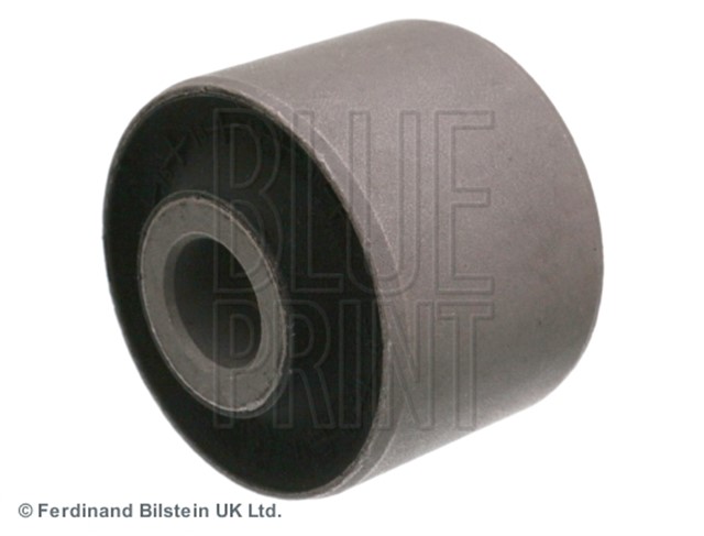 SALINCAK BURCU REXTON