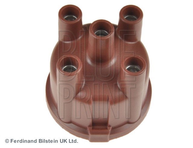 DISTRIBUTOR KAPAGI WILDCAT TAFT