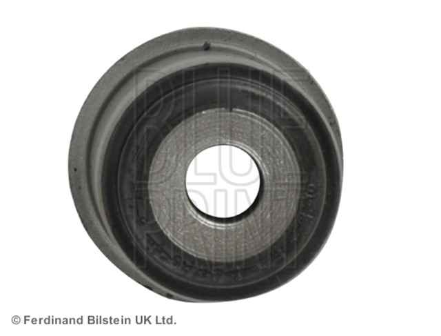 SALINCAK BURCU REXTON