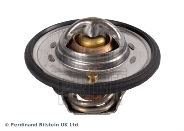 TERMOSTAT ACCENT BLUE 2011