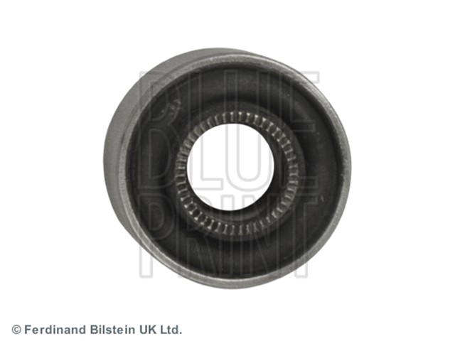 SALINCAK BURCU EXCEL/PONY X2