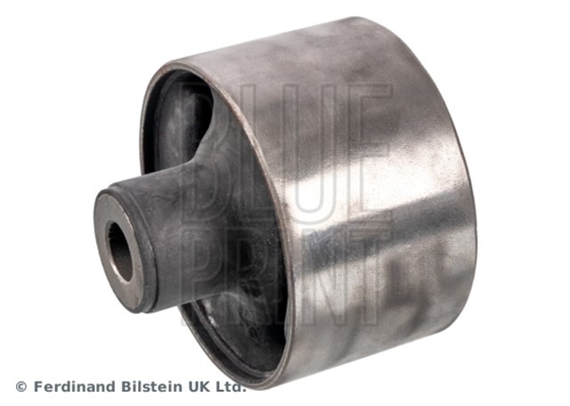 SALINCAK BURCU CARISMA