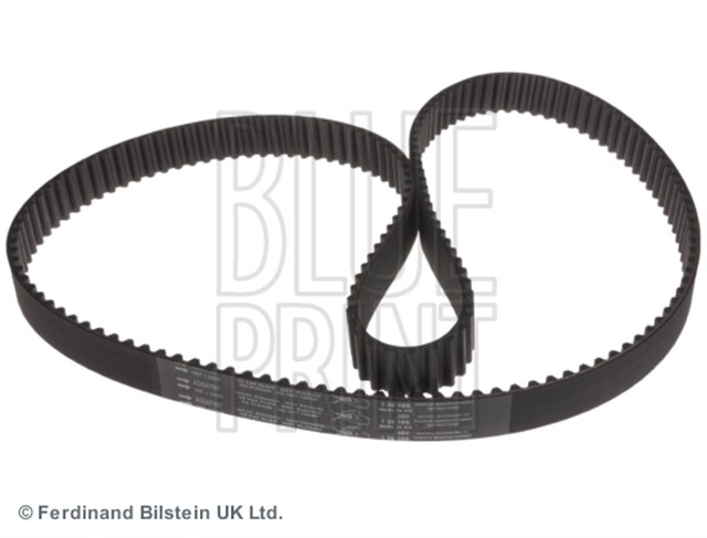 TRIGER KAYISI EVANDA