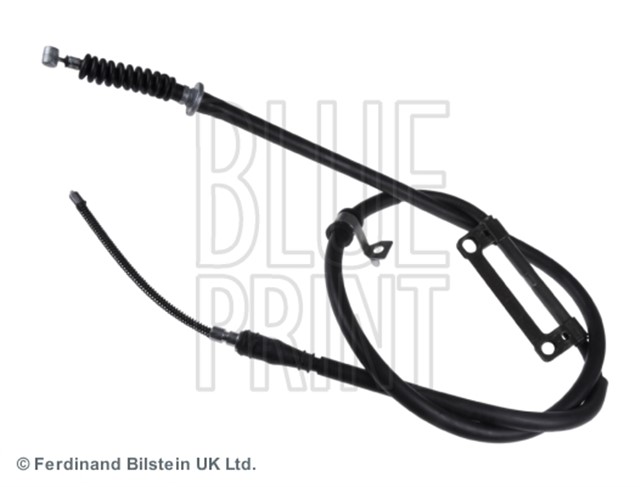 EL FRENI TELI SHUMA II/SEPHIA II