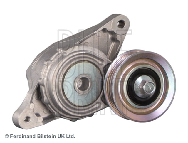 KAYIS GERGISI CR - Z. INSIGHT. JAZZ III