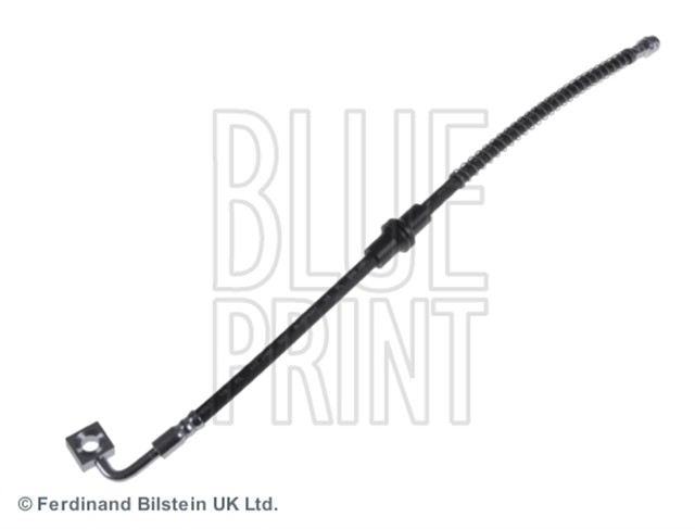 FREN HORTUMU CARNIVAL