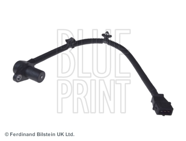 KRANK MILI SENSORU CARNIVAL