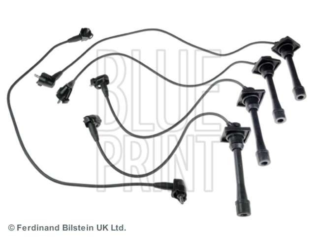 ATESLEME HATTI TAKIMI CARINA E