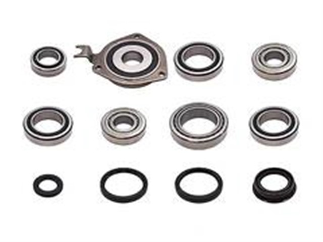 SANZIMAN TAMIR TAKIMI