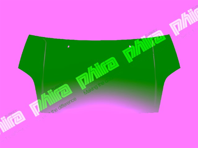 KAPUT ON SAC FORD FIESTA 2004 - 2012