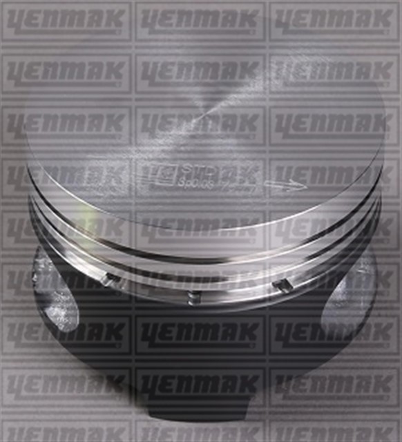 MOTOR PISTON SEGMAN R19 1400 E6J - E7J 75.80 CAP STD