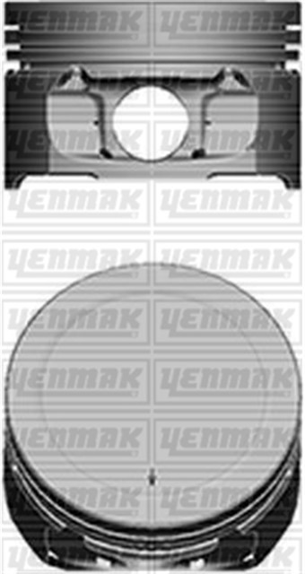 MOTOR PISTON SEGMAN STD TU5JP4 1.6 16 V TEPE YUK 0.15 MM 109 KW