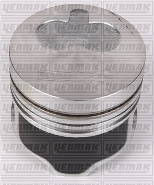 MOTOR PISTON SEGMAN MGN - CLIO - TRAFIC - R19 1.9 D F8Q 80.000 CAP STD