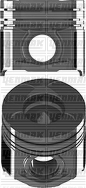 MOTOR PISTON SEGMAN STD ASTRA H 04 - 14 - VECTRA C 02 - 08 - ZAFIRA B 05 - 15 - SIGNUM 03 - 08 Z19DTH 82.00