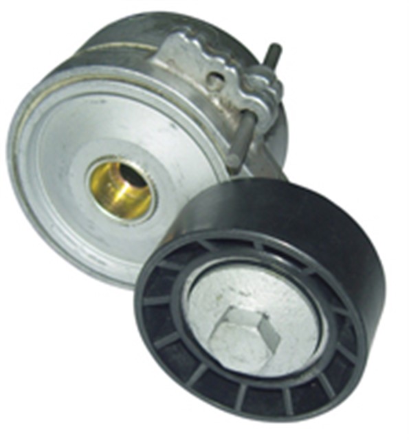 RULMAN ALT.GER.PRT.BX.206/306/406