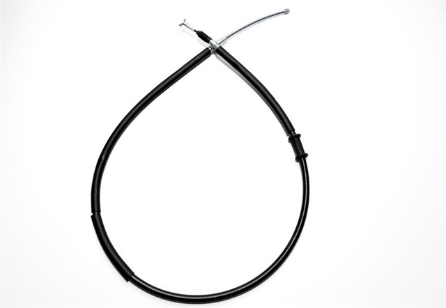 EL FREN TELLERI ARKA SAG/SOL PALIO / SIENA