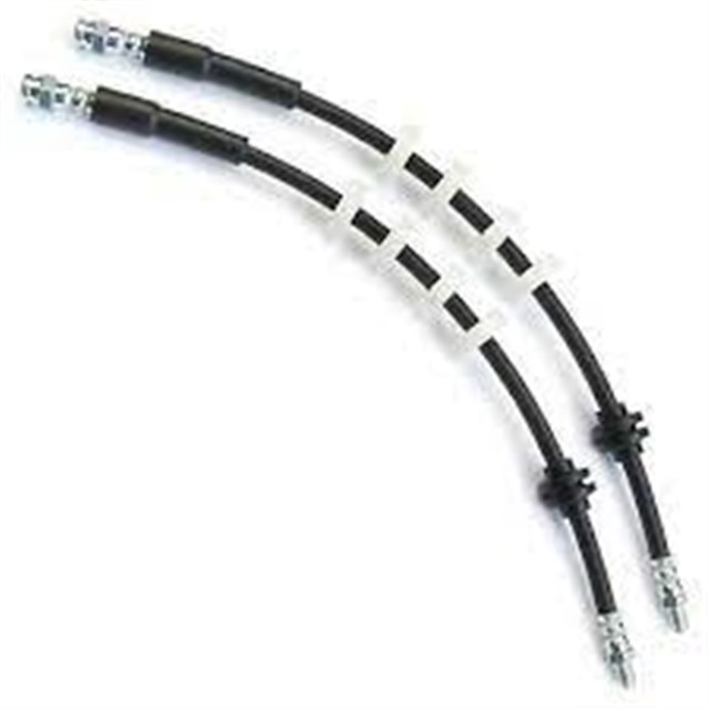 FREN HORTUMU ON CINQUECENTO. SEICENTO. 91 - 10