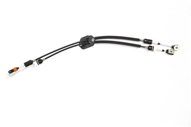 VITES TELI STILO - SECICI