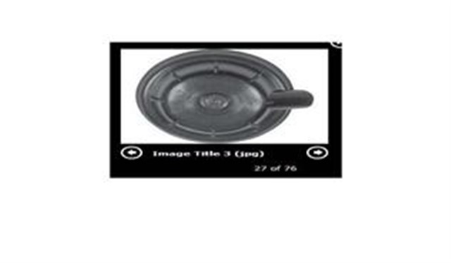 X FAR BONESI ARKA PLASTIK R9 EM 291