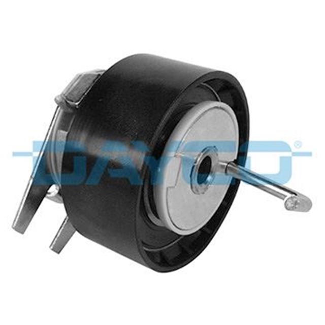 EKSANTRIK GERGI RULMANI P407 3.0HDI 09