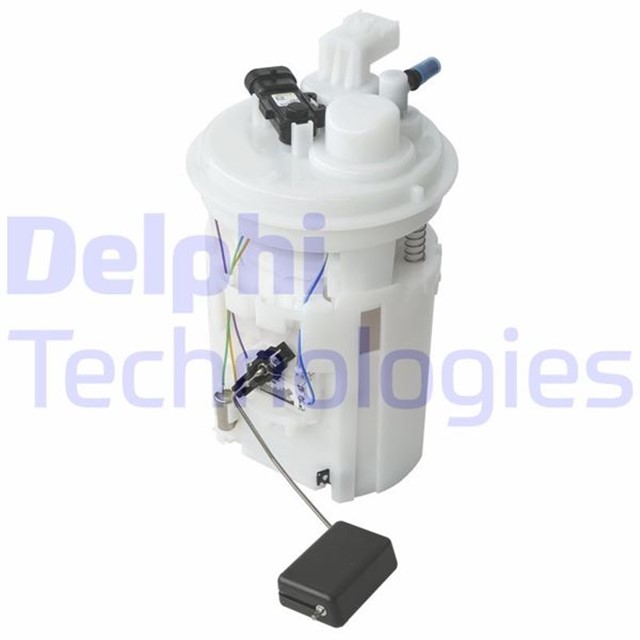 SAMANDIRA SUZUKIFORENZA