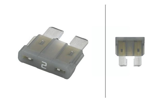 FUSE 24V 2A GRI