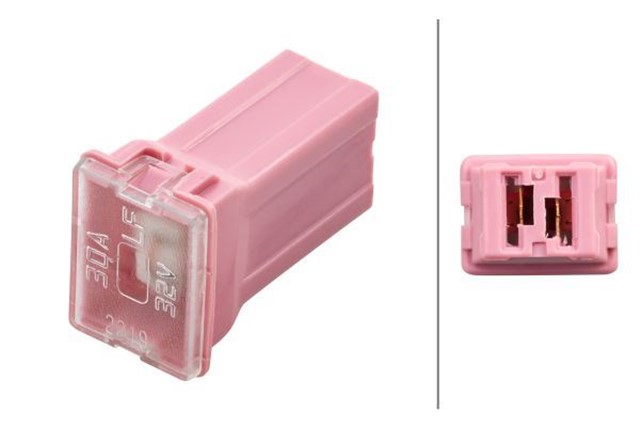 SIGORTA FEMALE SMALL PEMBE 30A