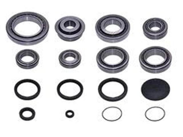 SANZUMAN TAMIR TAKIMI