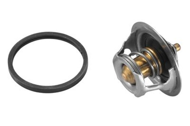 TERMOSTAT 89C PEUGEOT 405 - 306 - CITROEN 55 KAUCUK KLAPE