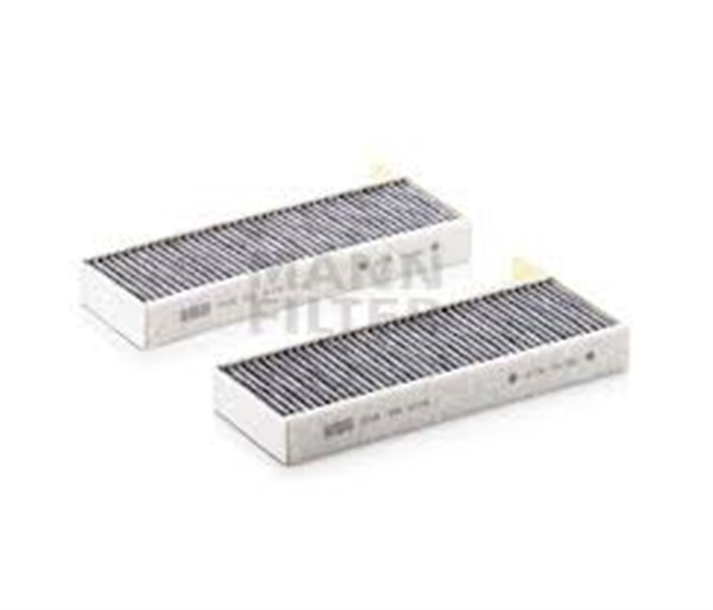 POLEN FILTRESI ASTRA L 21 P308 II - III 13 P508 18 KARBONLU