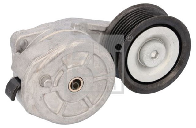 KAYIS GERICISI SCANIA