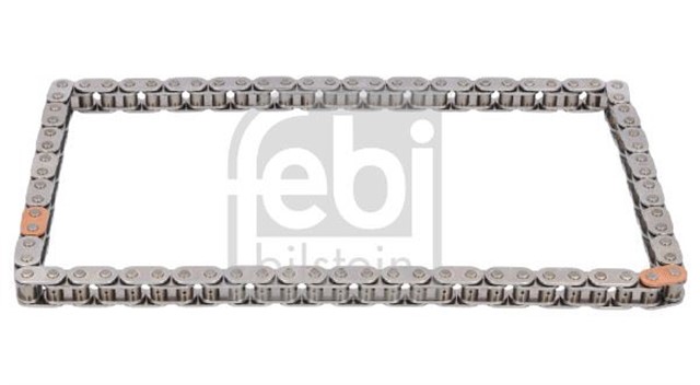 ZINCIR EKSANTRIK MILI ICIN JAGUAR