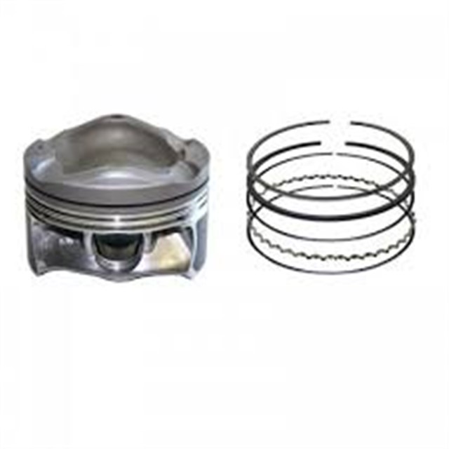 PISTON SEGMANI:YAG KONTROL TRANSIT 2006