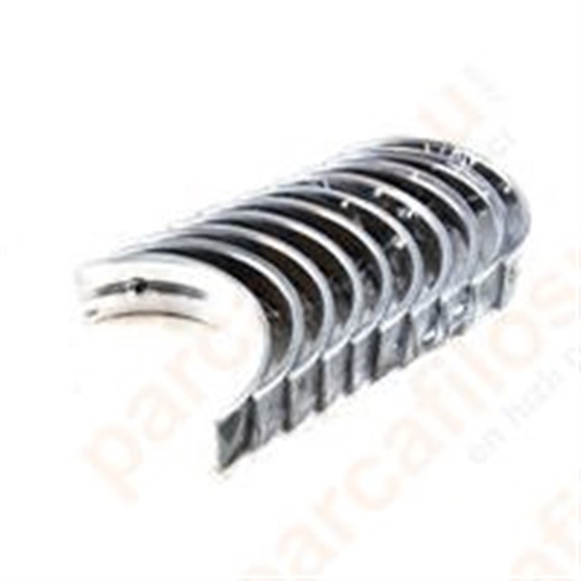 YATAK - KRANK ANA FOCUS 2015